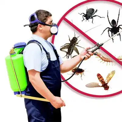pest control Gem Lake